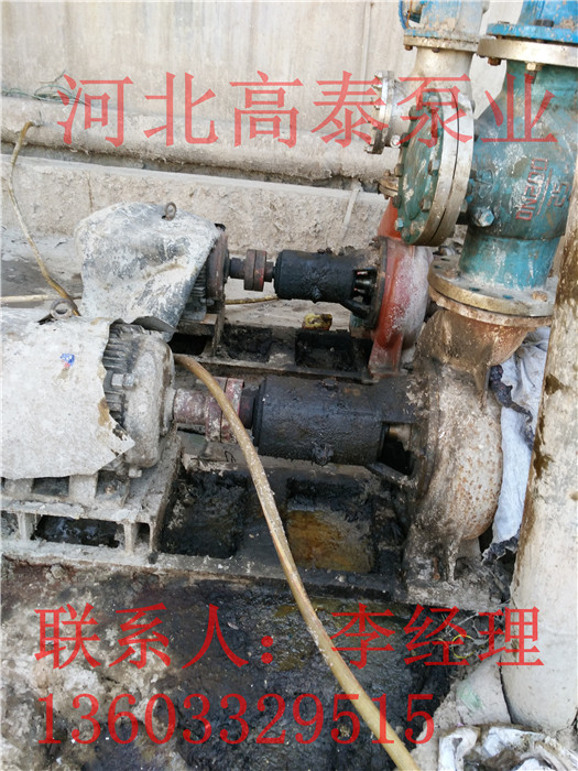 紙漿泵選型100LXL-Z-45河北紙漿泵